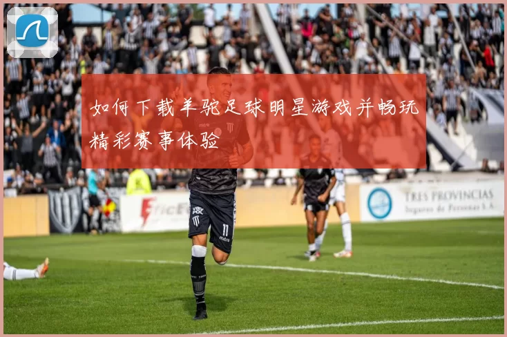 如何下载羊驼足球明星游戏并畅玩精彩赛事体验