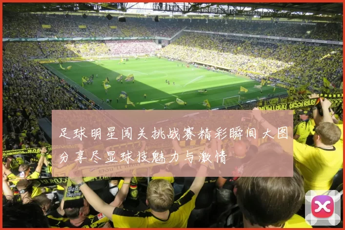 足球明星闯关挑战赛精彩瞬间大图分享尽显球技魅力与激情