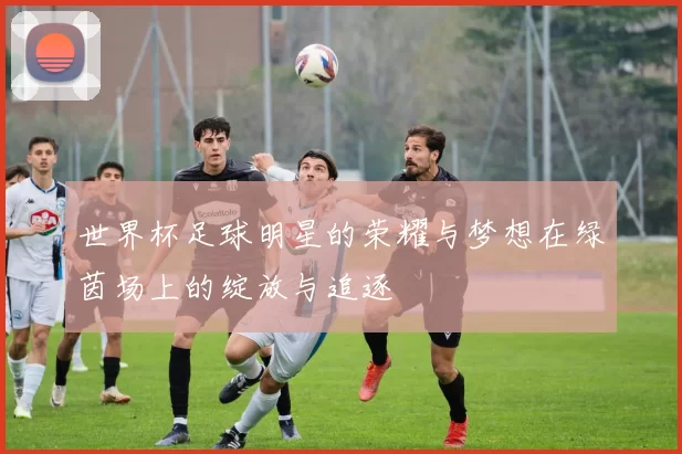 世界杯足球明星的荣耀与梦想在绿茵场上的绽放与追逐