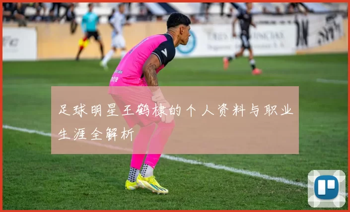 足球明星王鹤棣的个人资料与职业生涯全解析