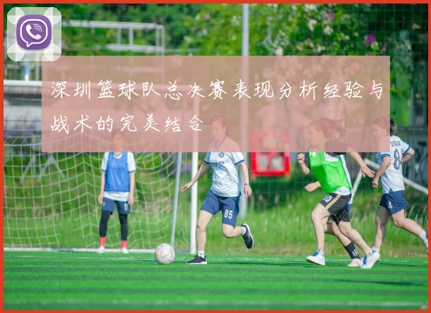 深圳篮球队总决赛表现分析经验与战术的完美结合