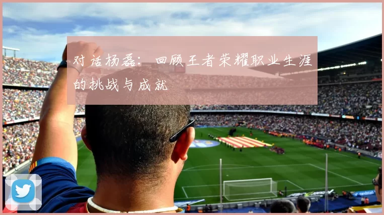 对话杨磊：回顾王者荣耀职业生涯的挑战与成就