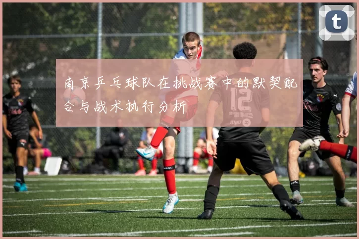 南京乒乓球队在挑战赛中的默契配合与战术执行分析