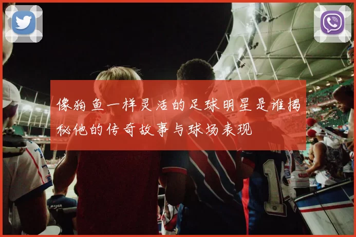 像狗鱼一样灵活的足球明星是谁揭秘他的传奇故事与球场表现