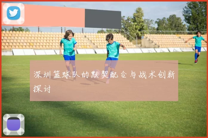 深圳篮球队的默契配合与战术创新探讨