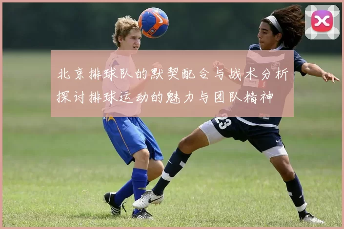 北京排球队的默契配合与战术分析探讨排球运动的魅力与团队精神
