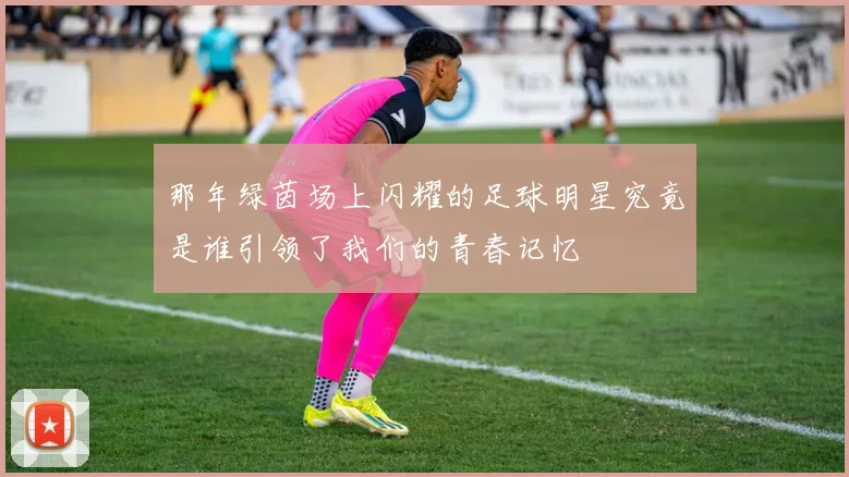 那年绿茵场上闪耀的足球明星究竟是谁引领了我们的青春记忆
