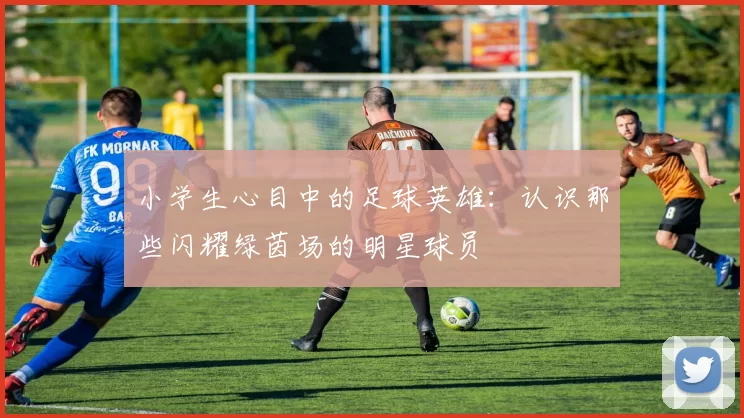 小学生心目中的足球英雄：认识那些闪耀绿茵场的明星球员