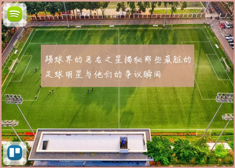 踢球界的恶名之星揭秘那些最脏的足球明星与他们的争议瞬间