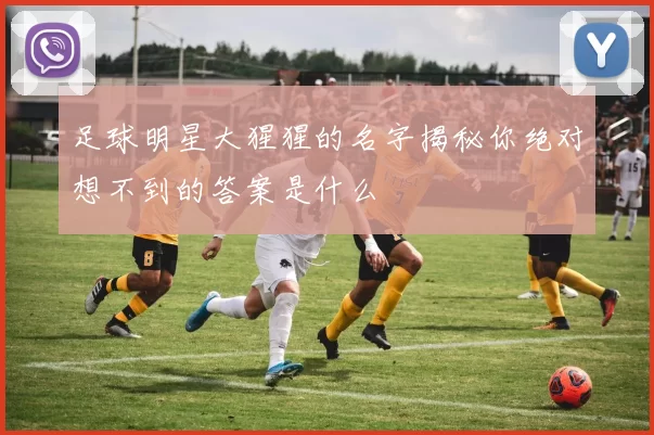 足球明星大猩猩的名字揭秘你绝对想不到的答案是什么